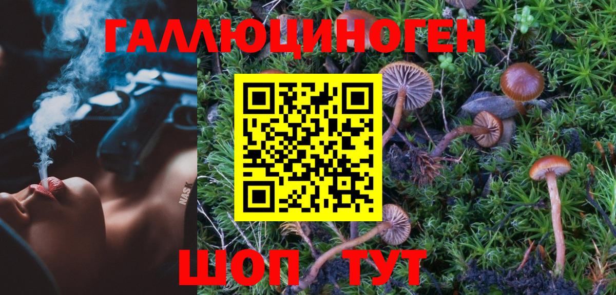 Псилоцибиновые грибы MAGIC MUSHROOMS  где купить наркоту  Вход с VPN  Бийск  Псилоцибиновые грибы Psilocybe 