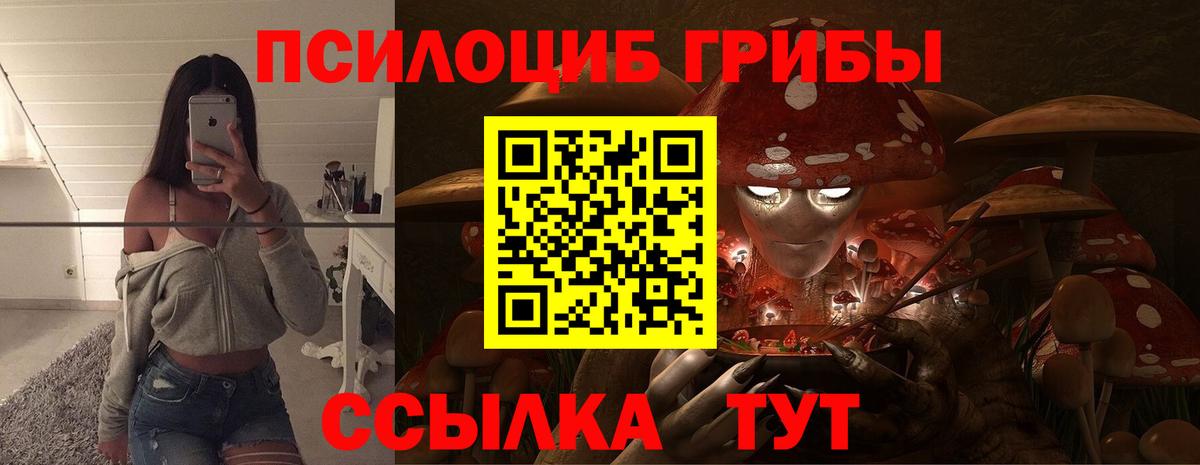 Галлюциногенные грибы Cubensis Бийск
