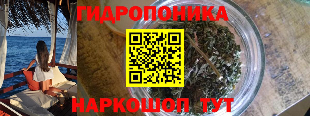 Шишки марихуана план Бийск
